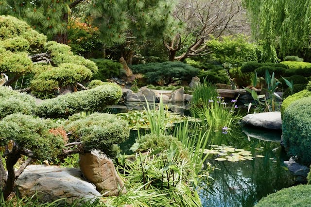 DIY Pond Ideas: Lighting and Water Features to Transform Your Garden