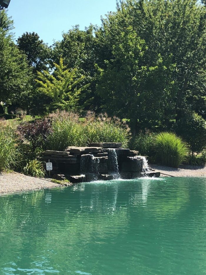 Natural pond swimming pool​ FAQs