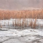 How to install a pond heater​: The Cloverleaf pond heater installation guide
