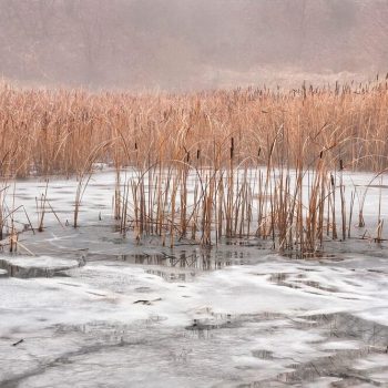 How to install a pond heater​: The Cloverleaf pond heater installation guide