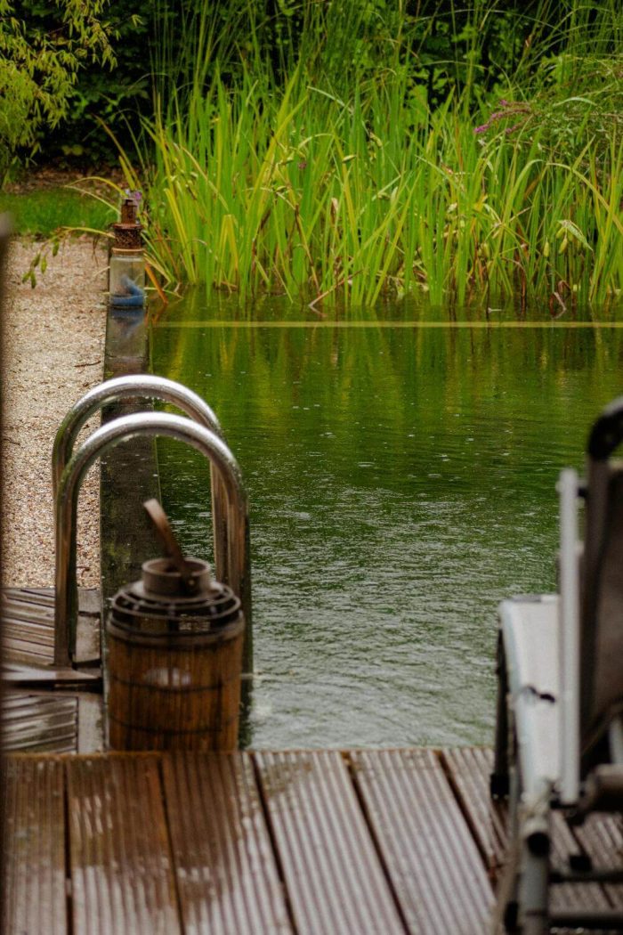 What is a natural swimming pool​, and how do natural swimming pools work​?