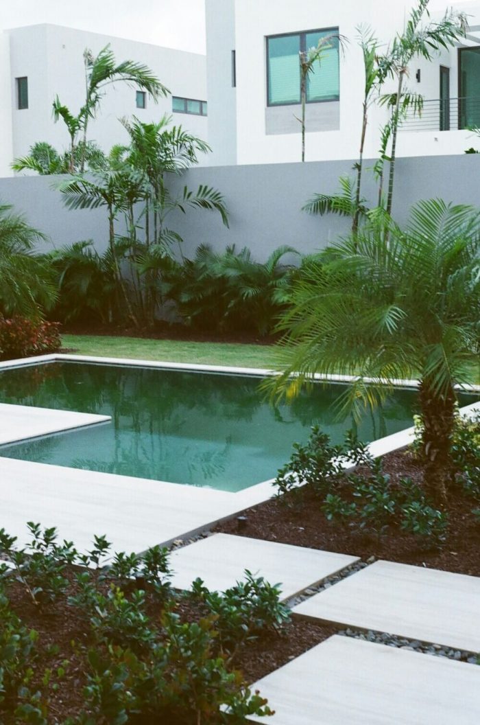 How to build your own natural swimming pool