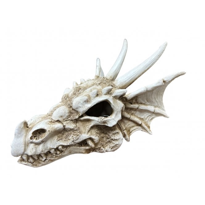 Betta  Dragon Skull Aquarium Ornament 