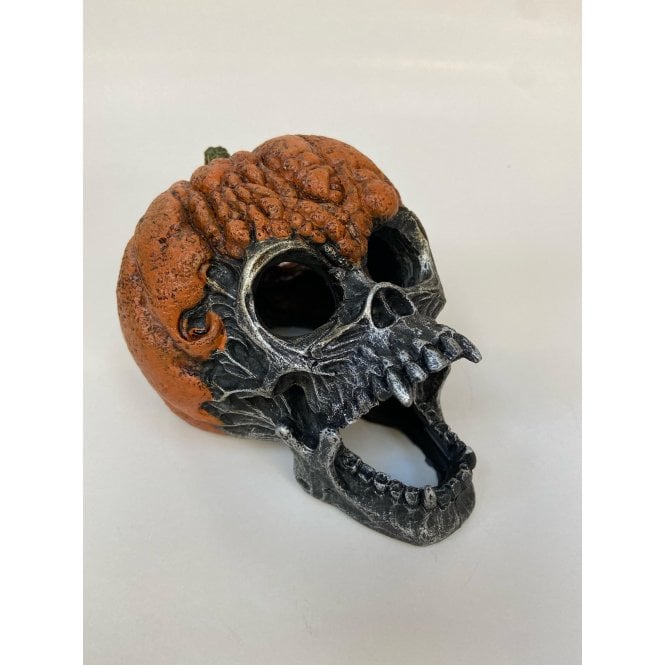 Betta Pumpkin Skull Aquarium Ornament 
