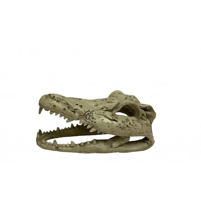 Betta Repti Planet Crocodile Skull Head Aquarium Ornament 