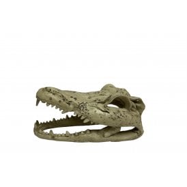 Repti Planet Crocodile Skull Head Aquarium Ornament 