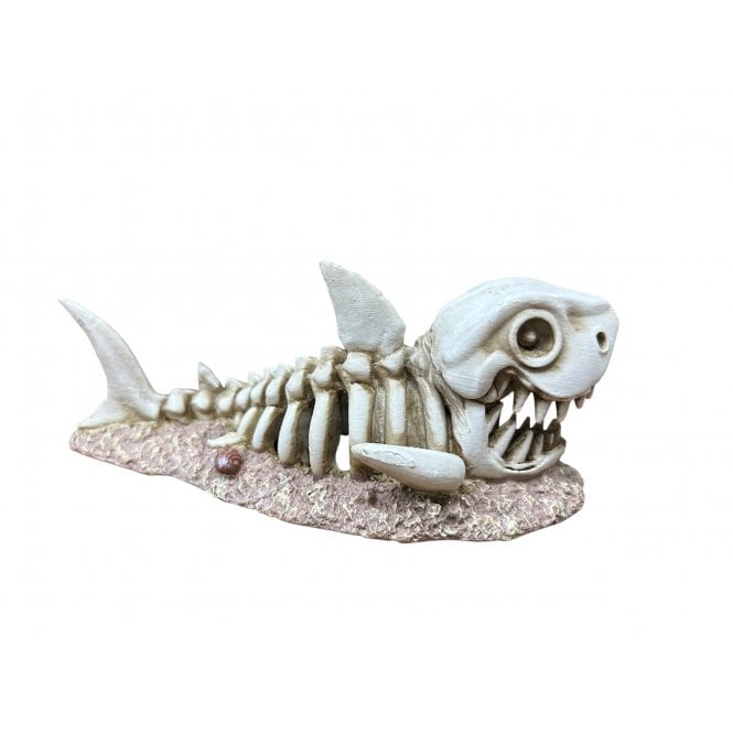 Betta  Shark Skull Aquarium Ornament