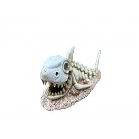 Betta Shark Skull Aquarium Ornament
