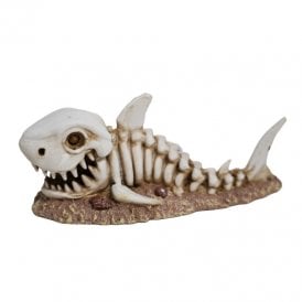 Betta Shark Skull Aquarium Ornament