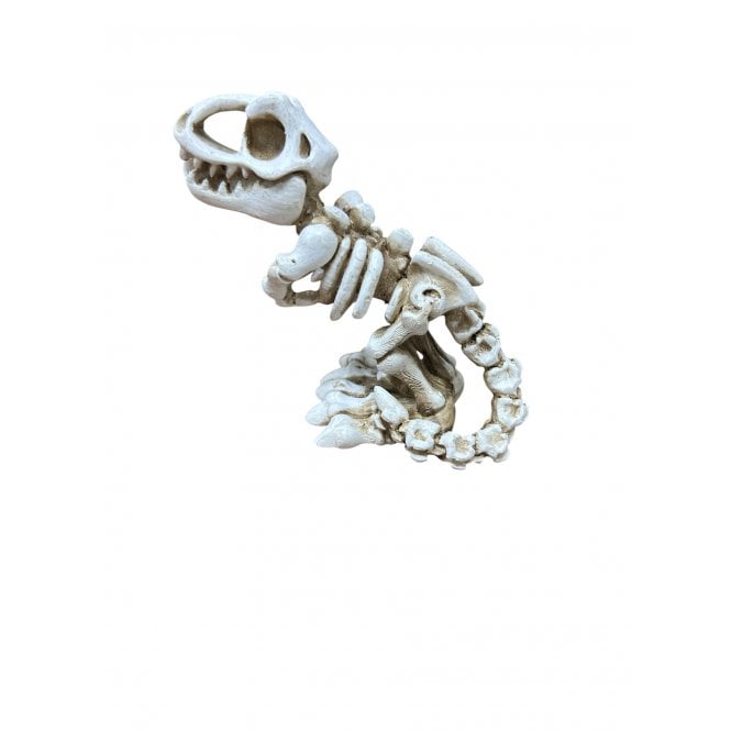 Betta  T- Rex Skeleton Aquarium Ornament 