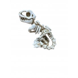 Betta T- Rex Skeleton Aquarium Ornament 