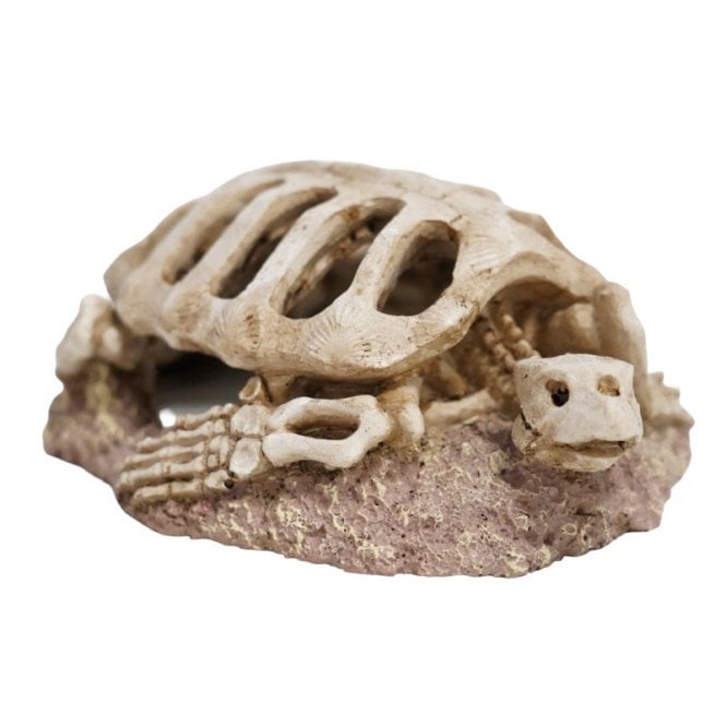 Betta  Turtle Skeleton Aquarium Ornament 