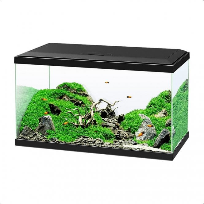 Ciano  Aquarium 60 LED Black With CF80 Filter