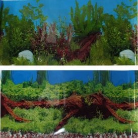 19"(49cm) Double Sided Aquarium Background Bog Wood Planted Scene