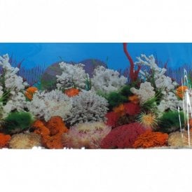 24"(60cm) Double Sided Planted Aquarium Marine Coral Background