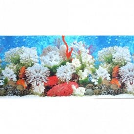 Aquarium Background 19" High Backdrop Marine Coral/Planted Tank