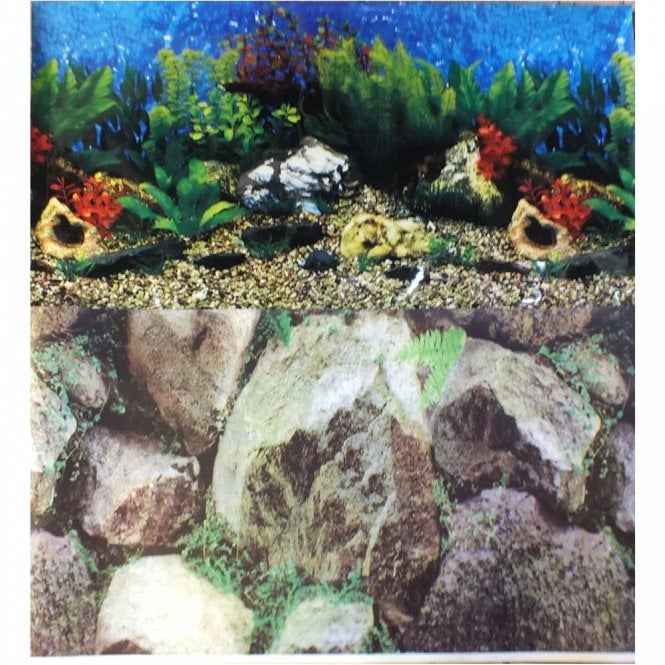 DLP Aquarium Background 19