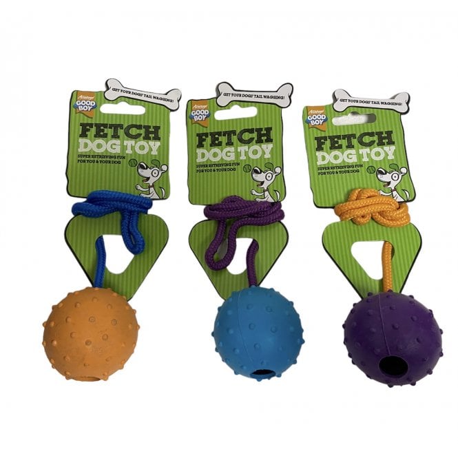 Good Boy  Ball On A Rope Fetch Dog Toy