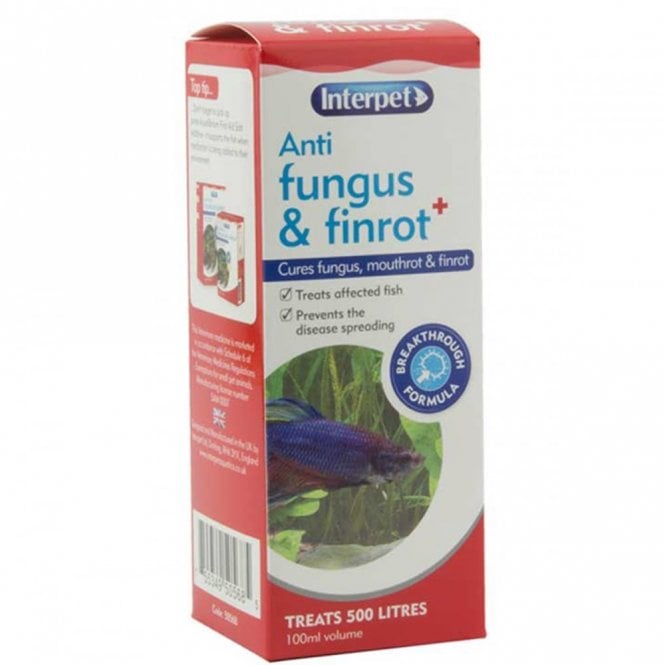 Interpet Anti Fungus And Finrot Aquarium Treatment Fish Aid 100ml