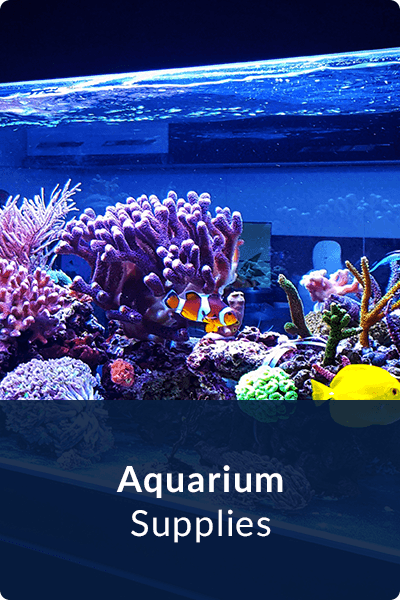 Aquarium Supplies