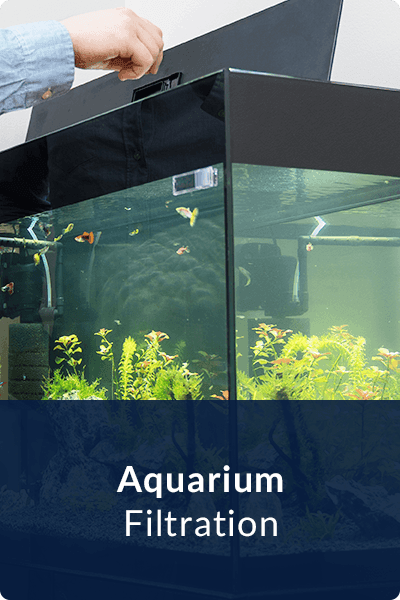 Aquarium Filtration