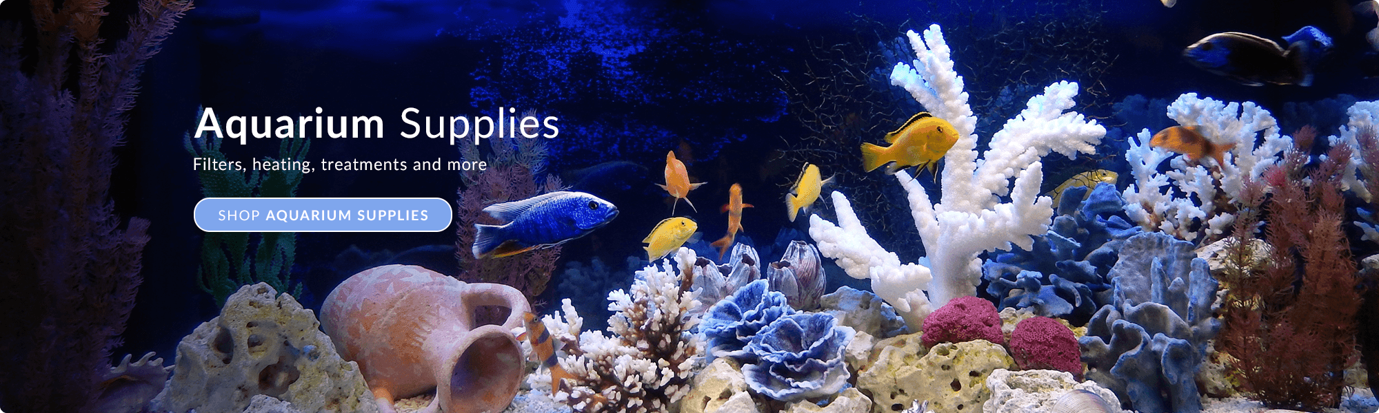 Aquarium Supplies