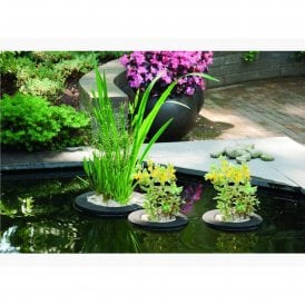 Round Floating Plant Island Pond Basket