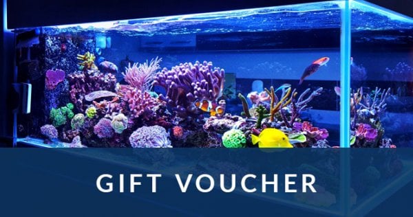 Gift Voucher 1