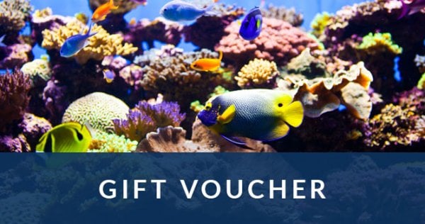 Gift Voucher 2