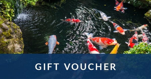Gift Voucher 3