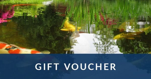 Gift Voucher 4